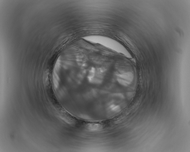 X0000112020169200908311202