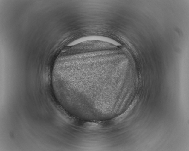 X0000112020170200908311202