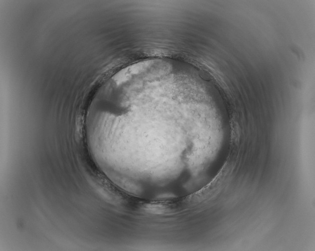 X0000112020171200908311202