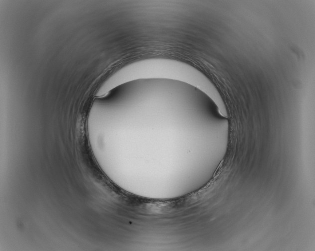 X0000112020172200908311202