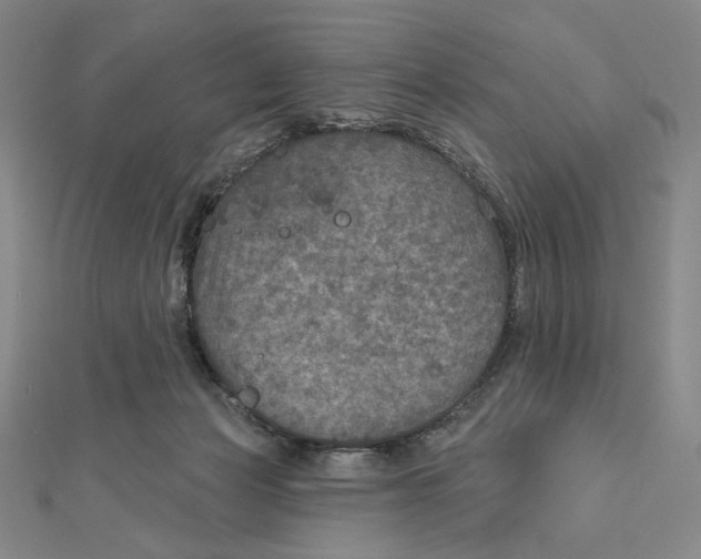 X0000112020173200908311202