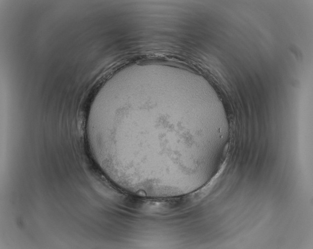 X0000112020174200908311202