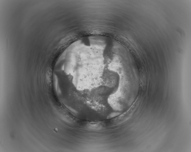 X0000112020175200908311202