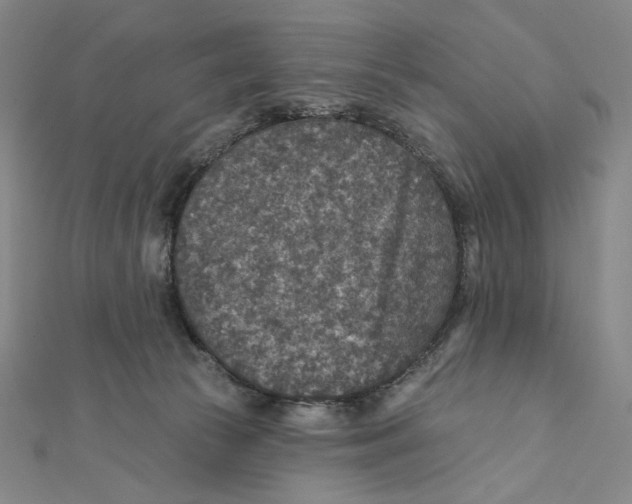 X0000112020177200908311202