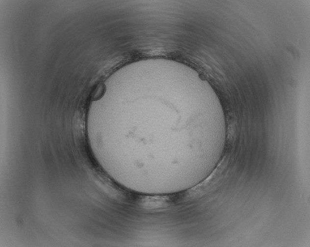 X0000112020179200908311202