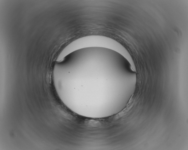 X0000112020180200908311202