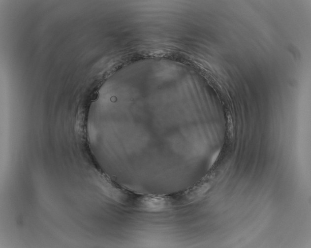 X0000112020181200908311202