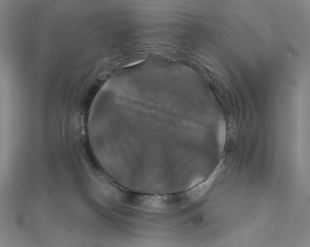 X0000112020182200908311202