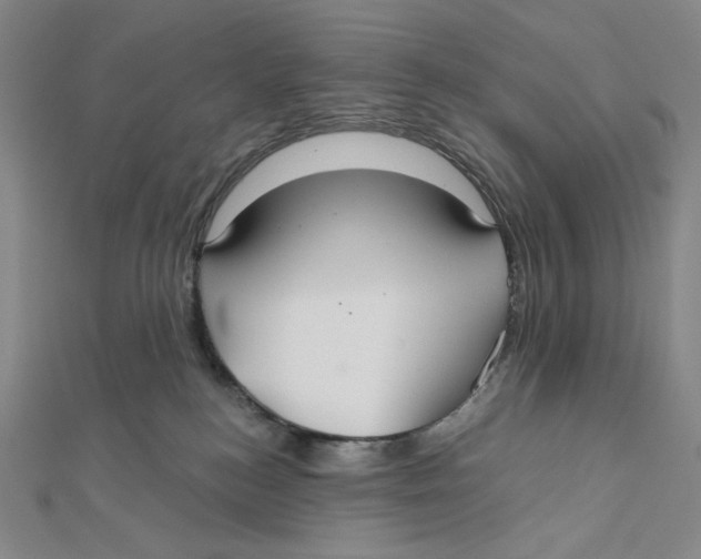 X0000112020184200908311202