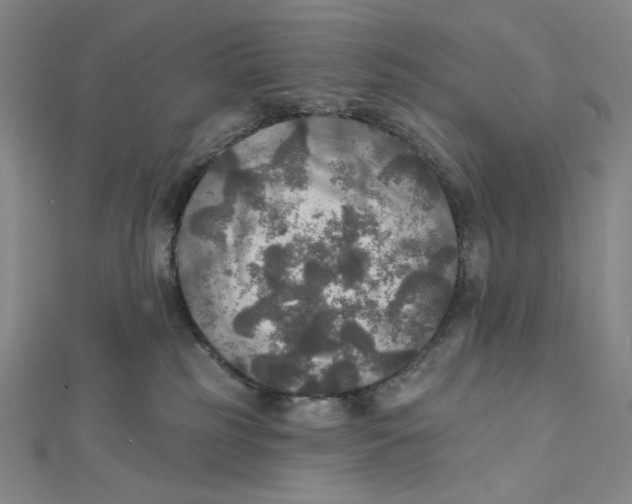 X0000112020185200908311202