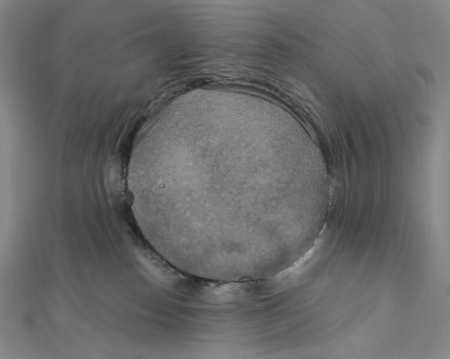 X0000112020186200908311202