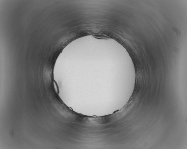 X0000112020188200908311202