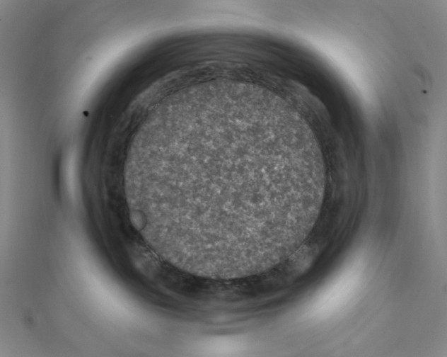 X0000112020189200908311202