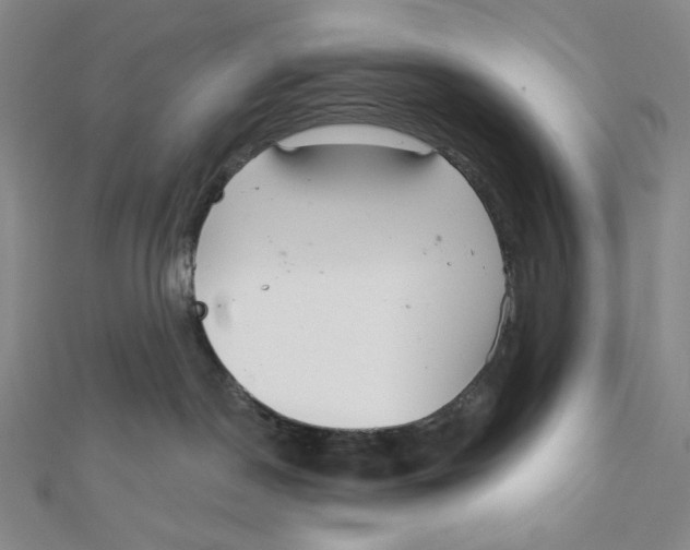 X0000112020190200908311202