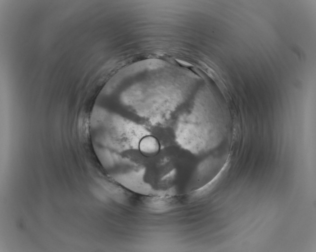 X0000112020191200908311202