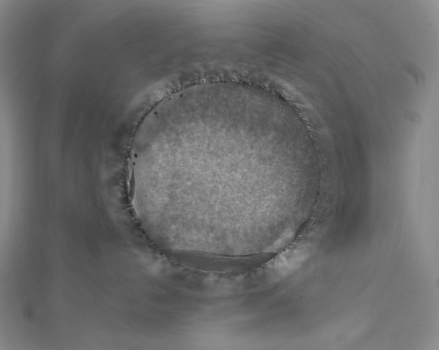 X0000112020192200908311202