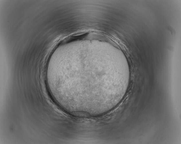 X0000112020193200908311202