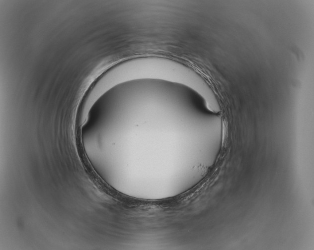 X0000112020195200908311201