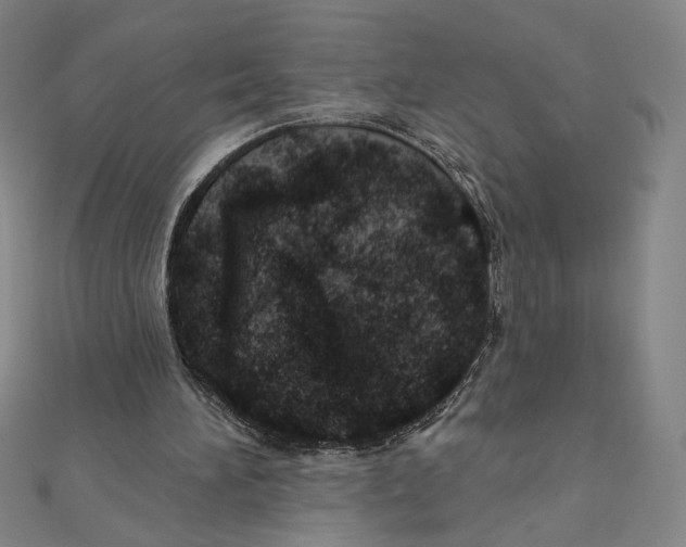 X0000112020196200908311201