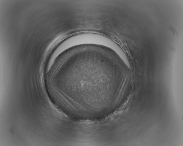 X0000112020197200908311201