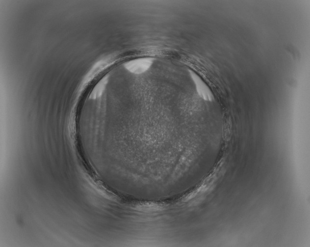 X0000112020198200908311201