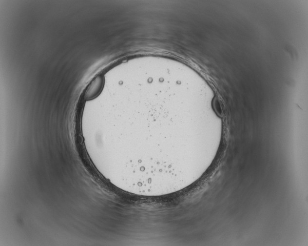 X0000112020199200908311201