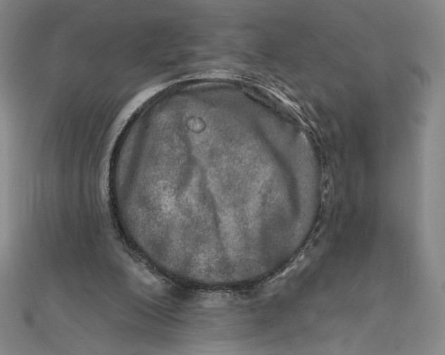 X0000112020200200908311201