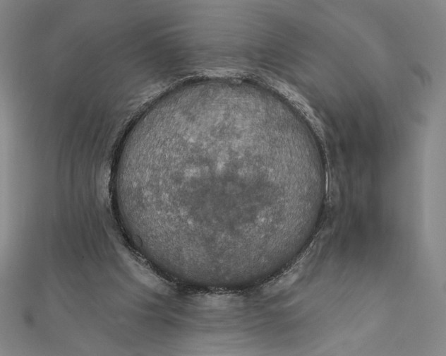 X0000112020201200908311201