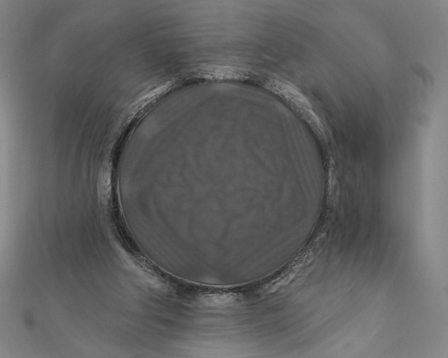 X0000112020202200908311201