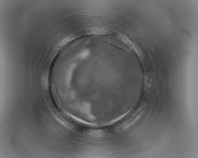 X0000112020203200908311201