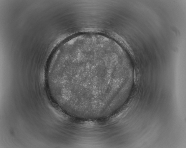 X0000112020204200908311201