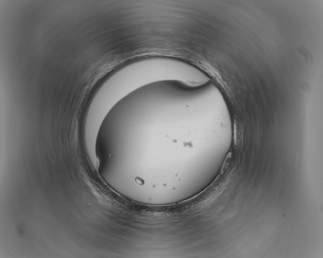 X0000112020205200908311201