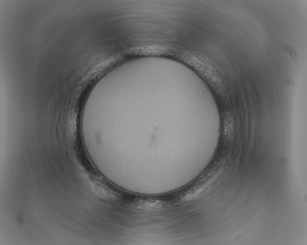 X0000112020206200908311201