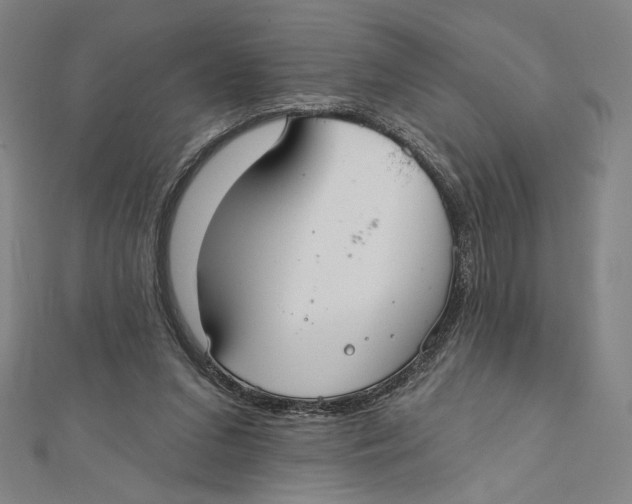 X0000112020207200908311201