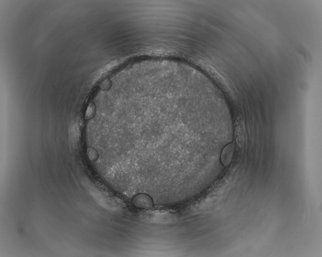 X0000112020208200908311201