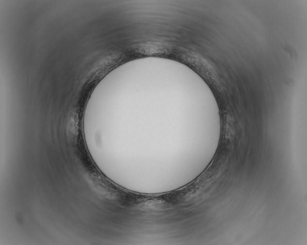 X0000112020210200908311201