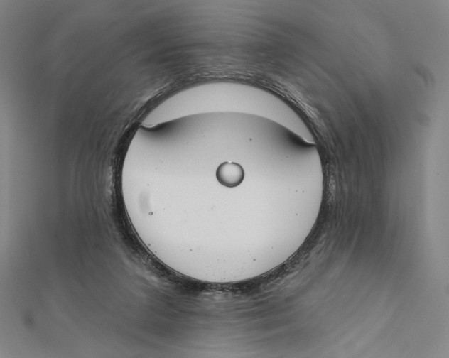 X0000112020211200908311201