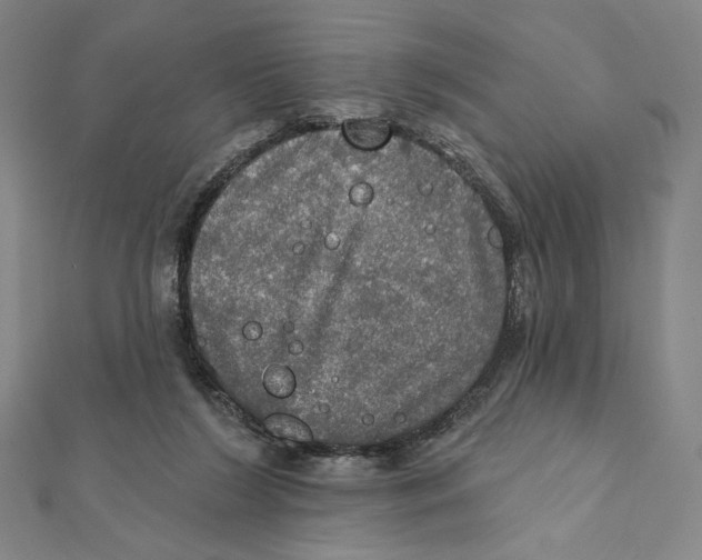 X0000112020212200908311201