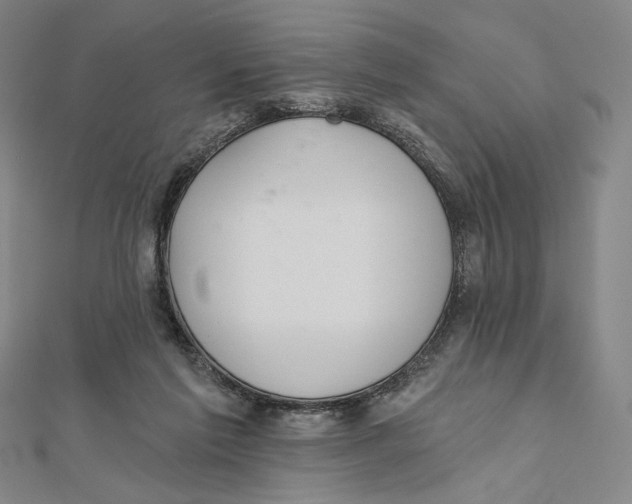 X0000112020213200908311201