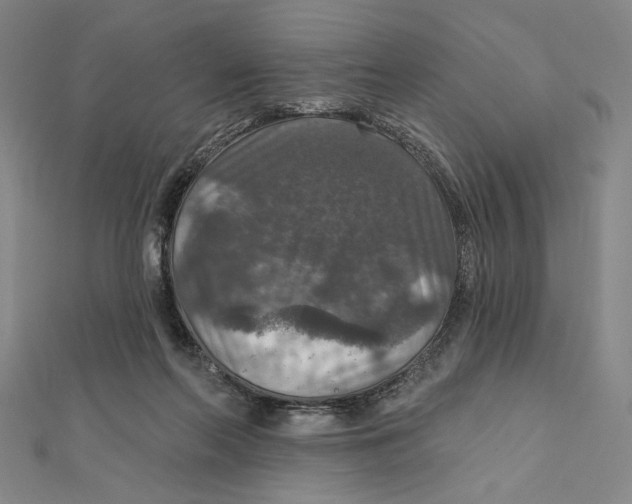 X0000112020214200908311201