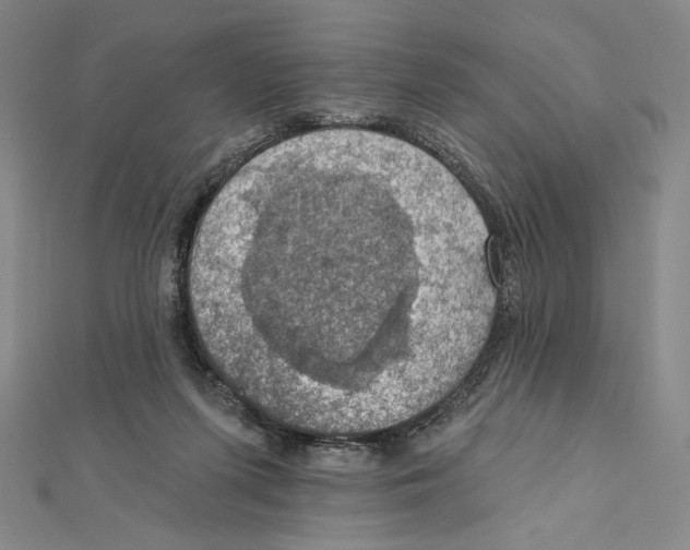 X0000112020215200908311201