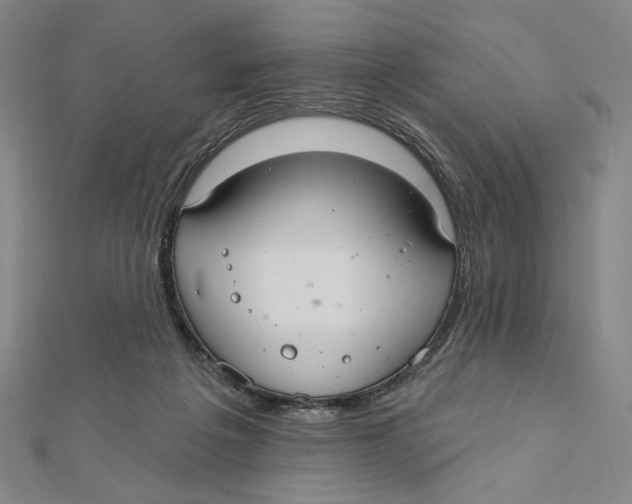 X0000112020217200908311201