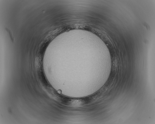 X0000112020218200908311201