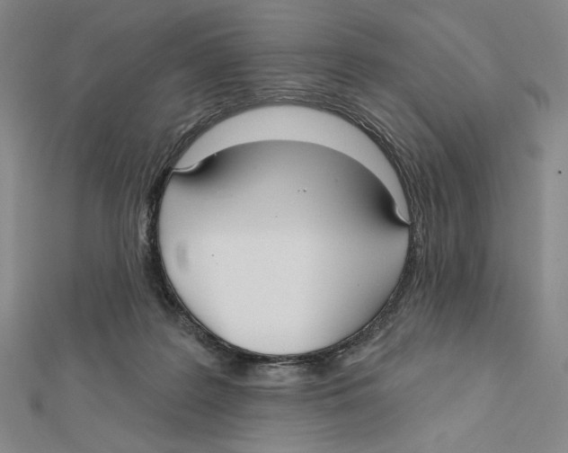 X0000112020219200908311201