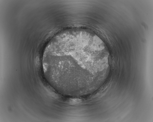 X0000112020220200908311201