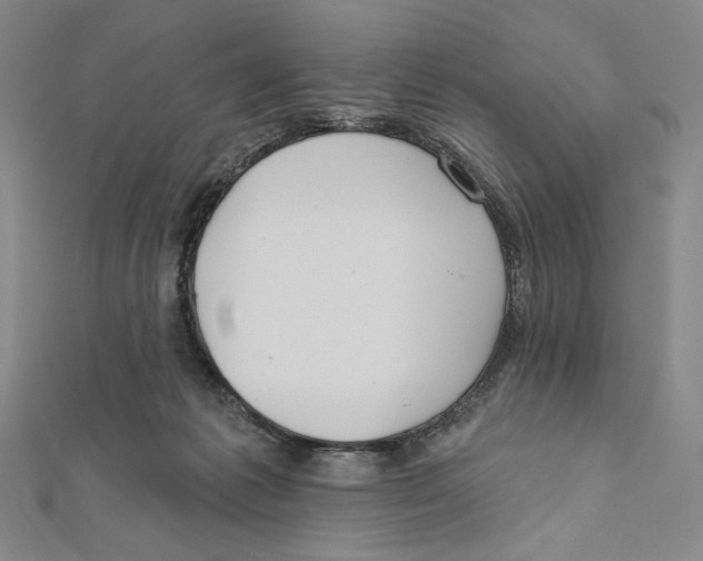 X0000112020221200908311201