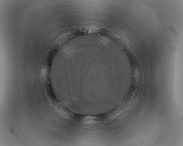 X0000112020222200908311201