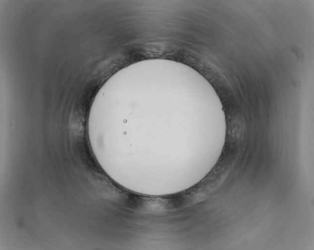 X0000112020226200908311201