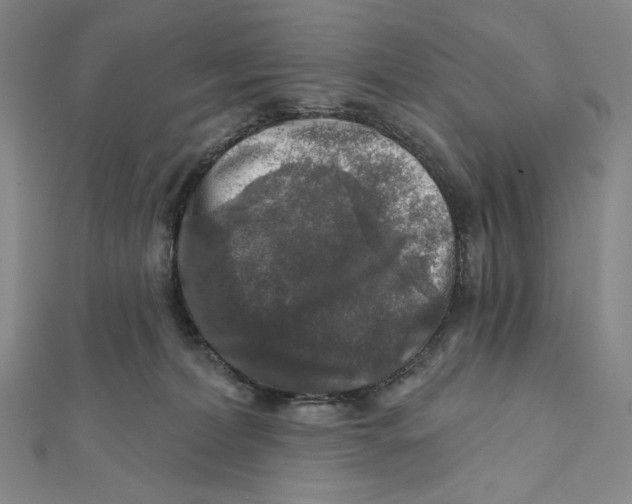 X0000112020228200908311201