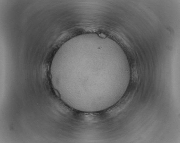 X0000112020229200908311201